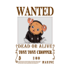 Tony Tony Chopper One Piece Wanted Tapestry Official One Piece Merch