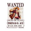 Portgas D Ace One Piece Wanted Tapestry Official One Piece Merch